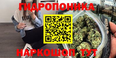 дживик Кунгур