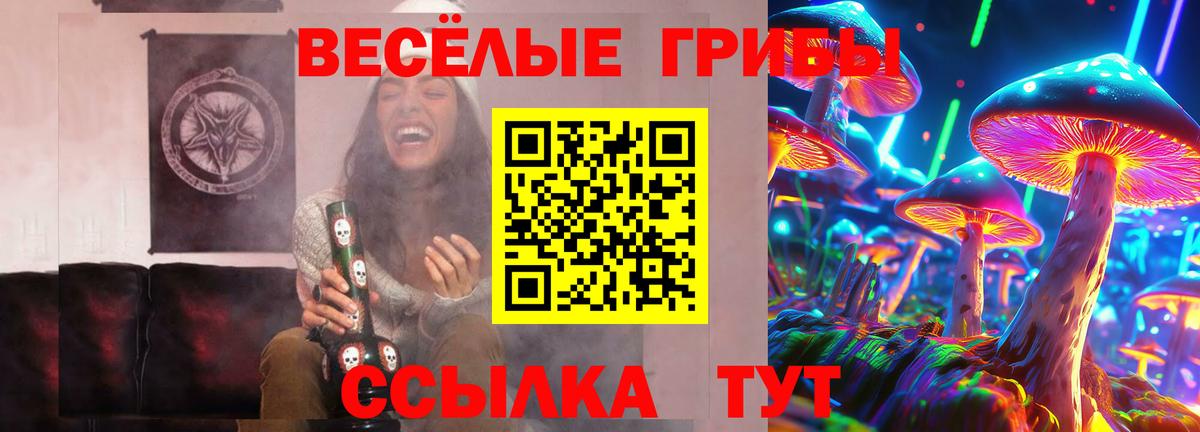 Галлюциногенные грибы MAGIC MUSHROOMS  Вход с VPN  Кингисепп 
